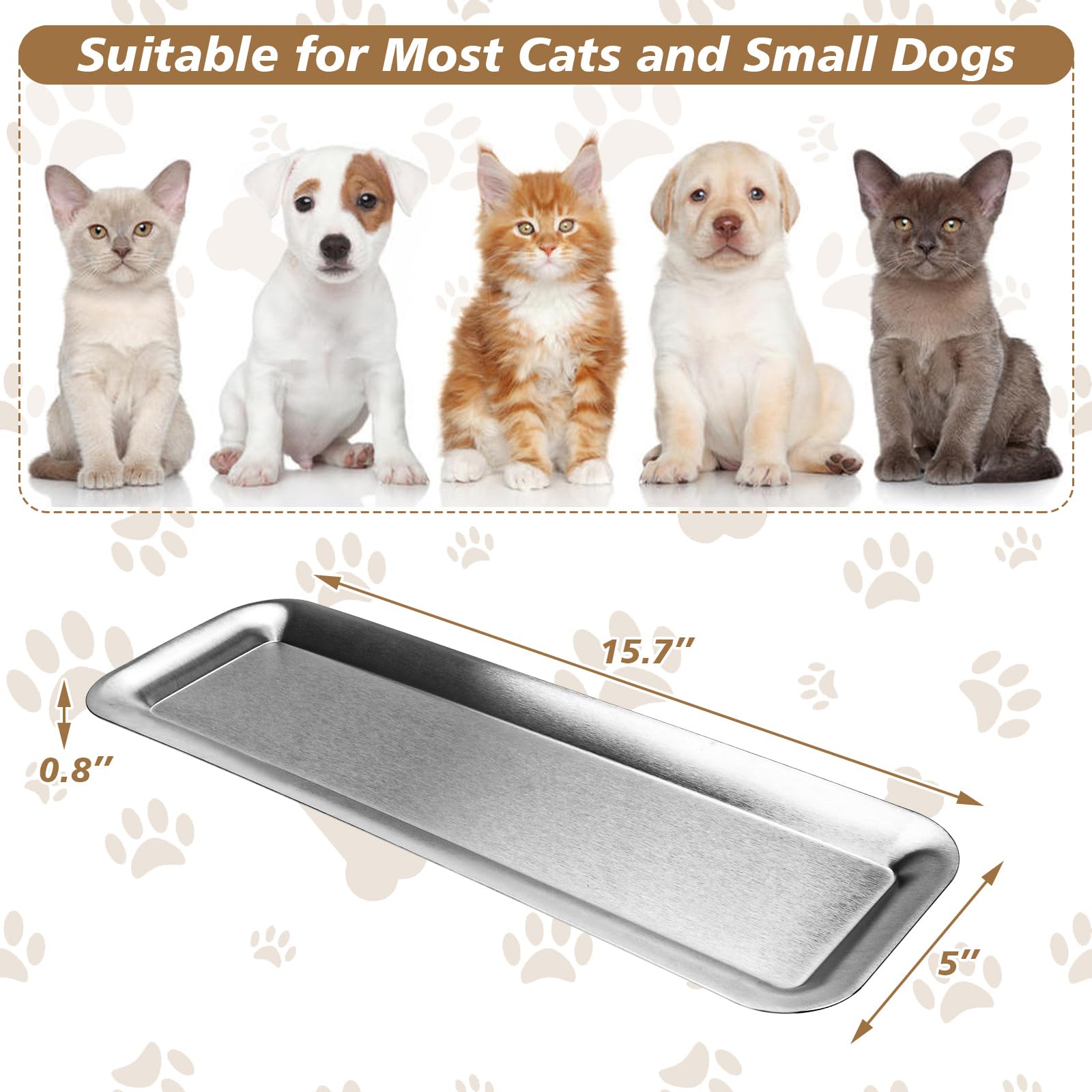 Meowgod versatile bowl for cats and small pets during meals