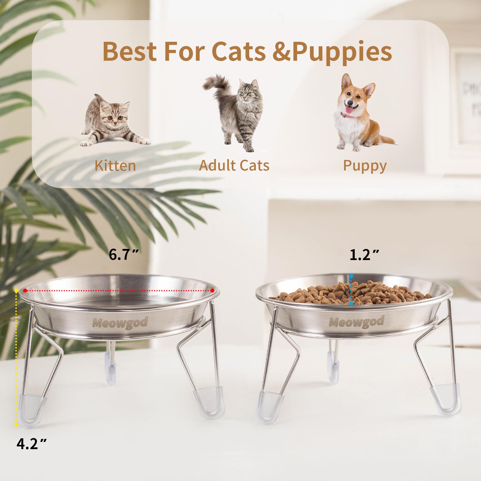 Meowgod eco-friendly heavy-duty stainless steel construction for durability