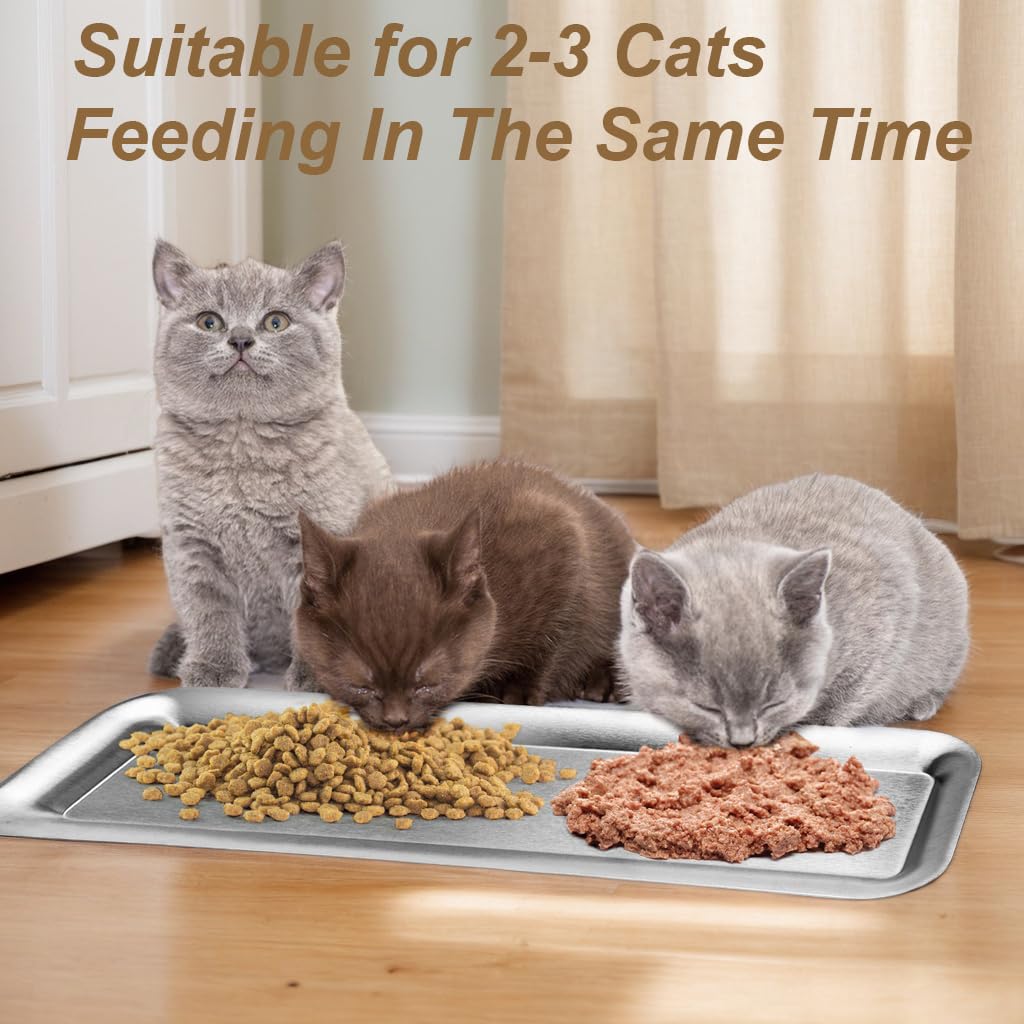 Meowgod stainless steel cat bowl is dishwasher-safe and odor resistant