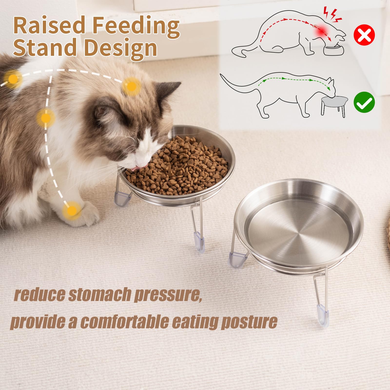 Meowgod whisker-friendly edge close-up promoting comfortable dining
