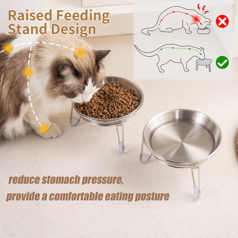 Meowgod whisker-friendly edge close-up promoting comfortable dining