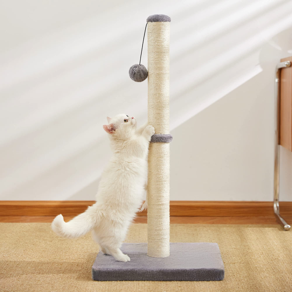 MeowHomm assembly kit includes manual and tools for easy setup