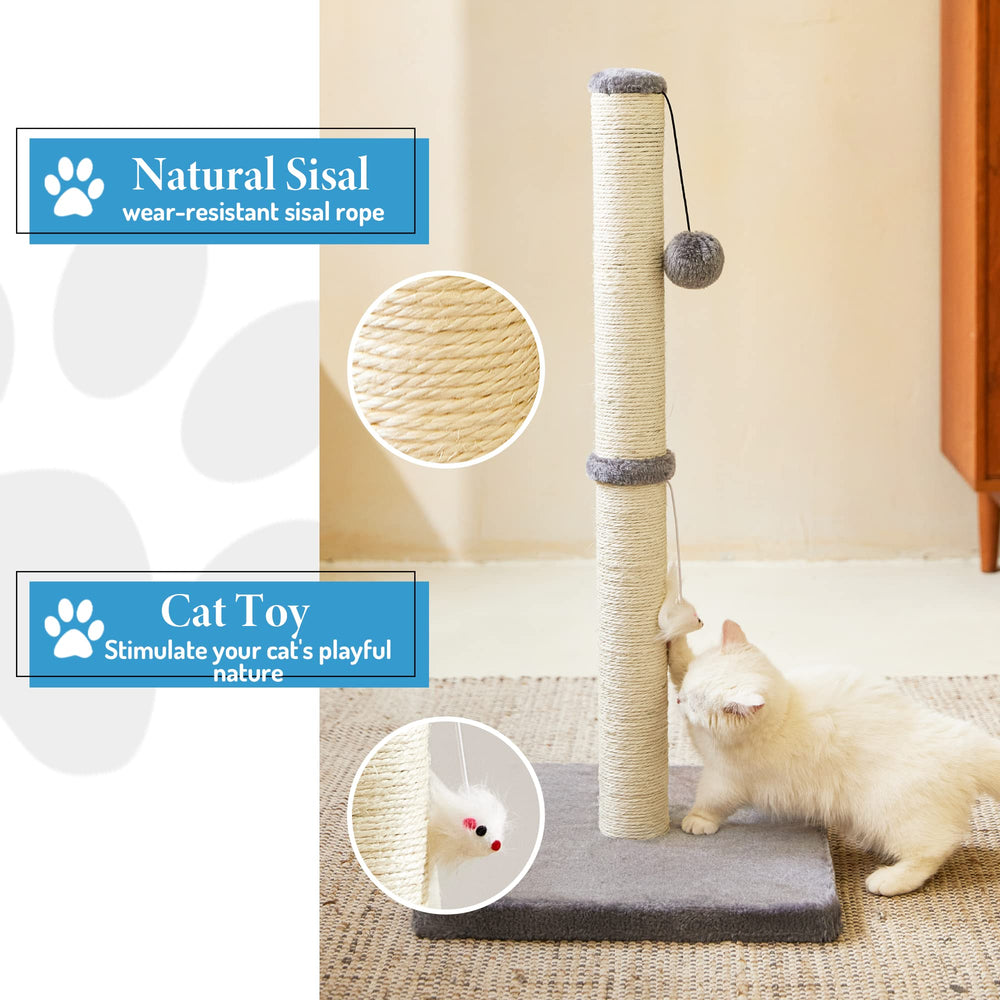 MeowHomm wide base for stable standing during play