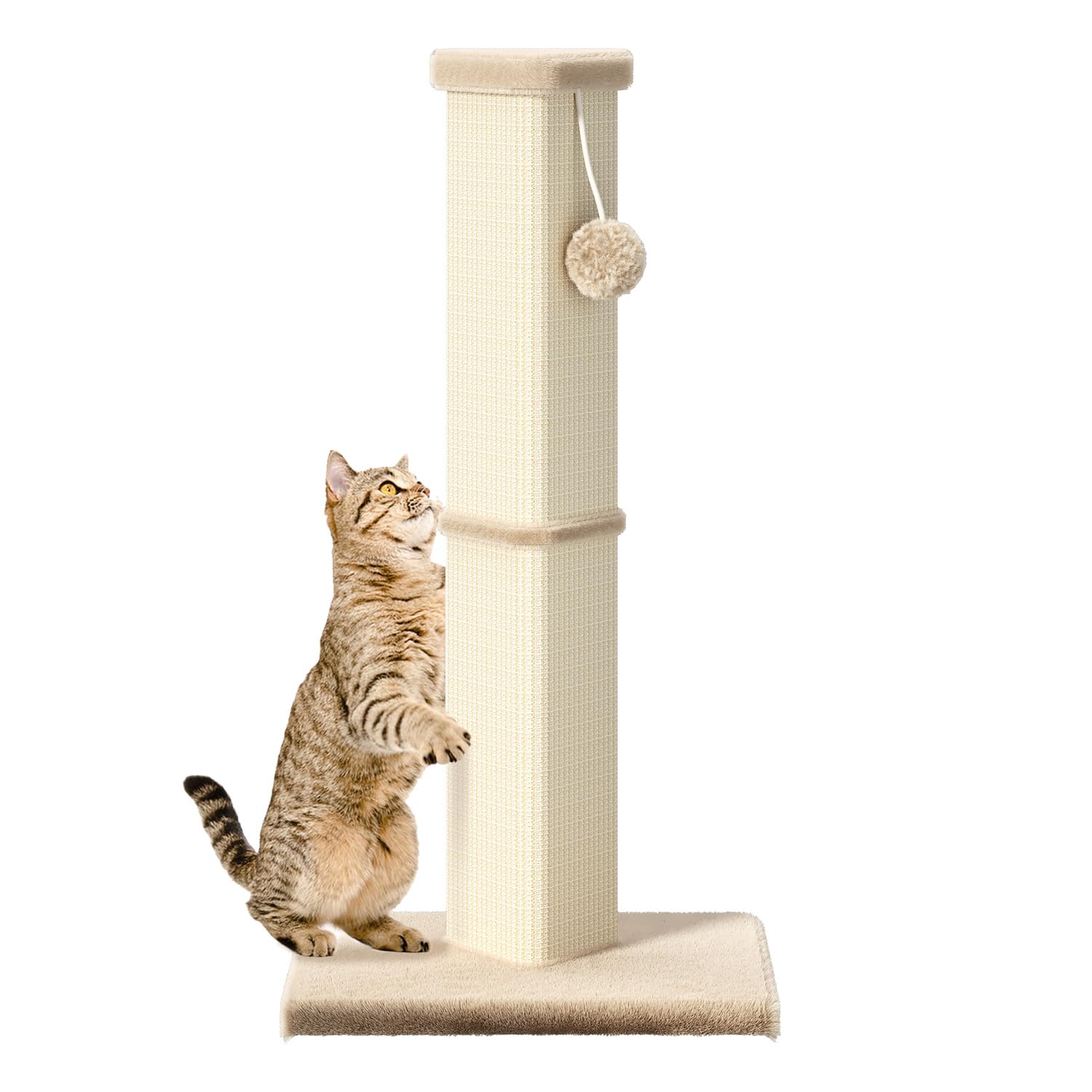 MeowHomm cat scratching post with sisal rope demonstrating natural scratching surface and furniture protection