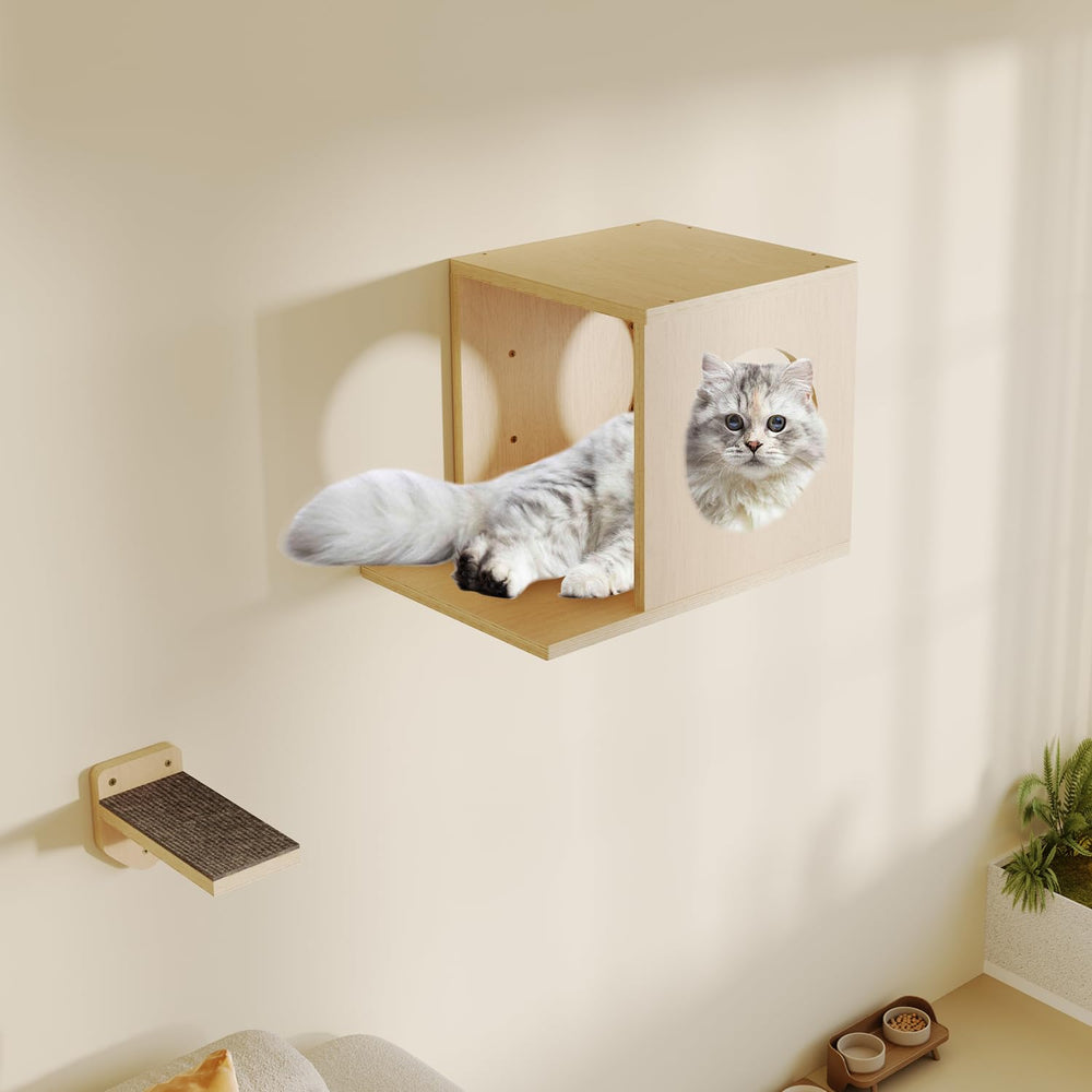 MeowHomm cat wall shelves multi-cat use supports shared climbing space.