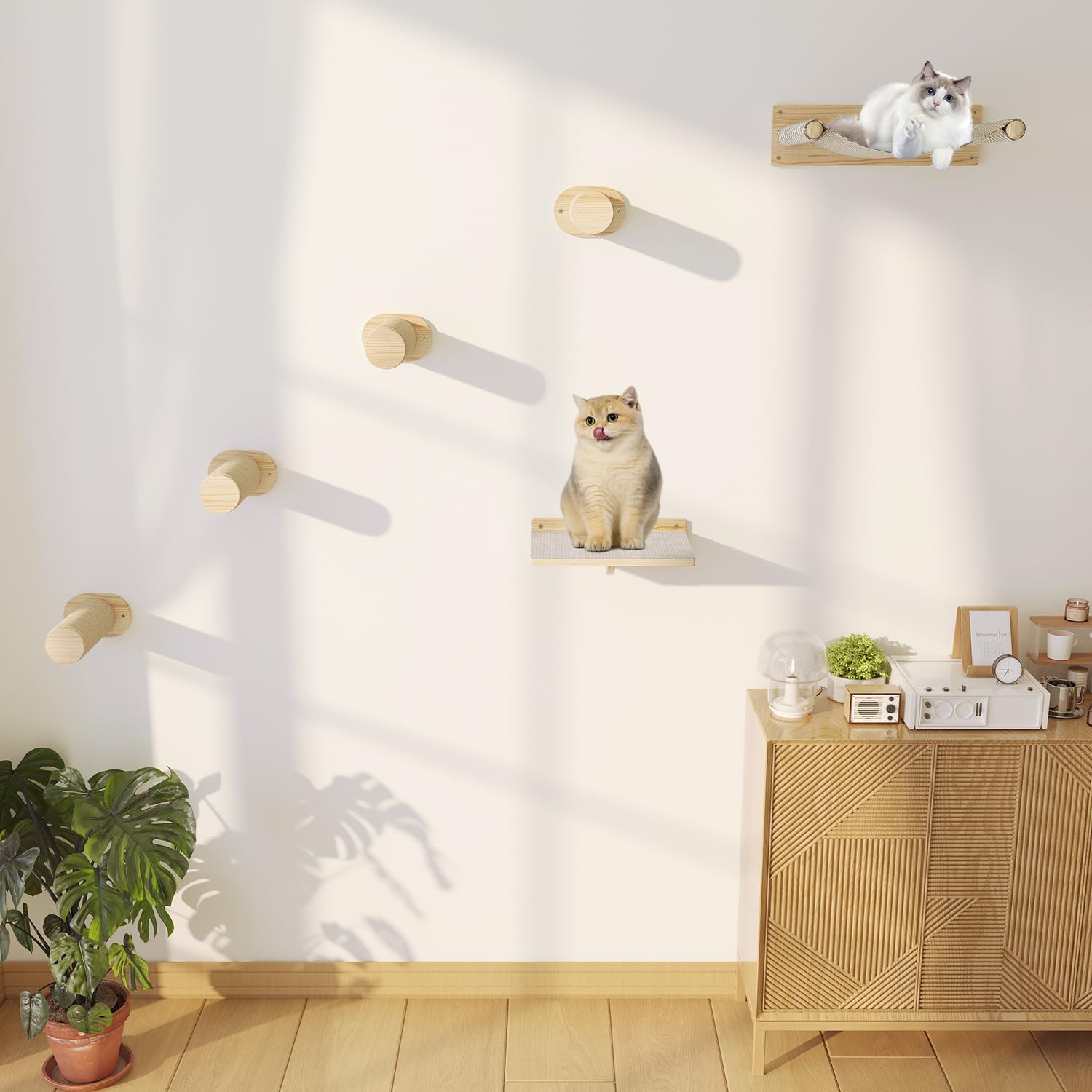 MeowHomm cat wall shelves space-saving design fits small apartments and rooms