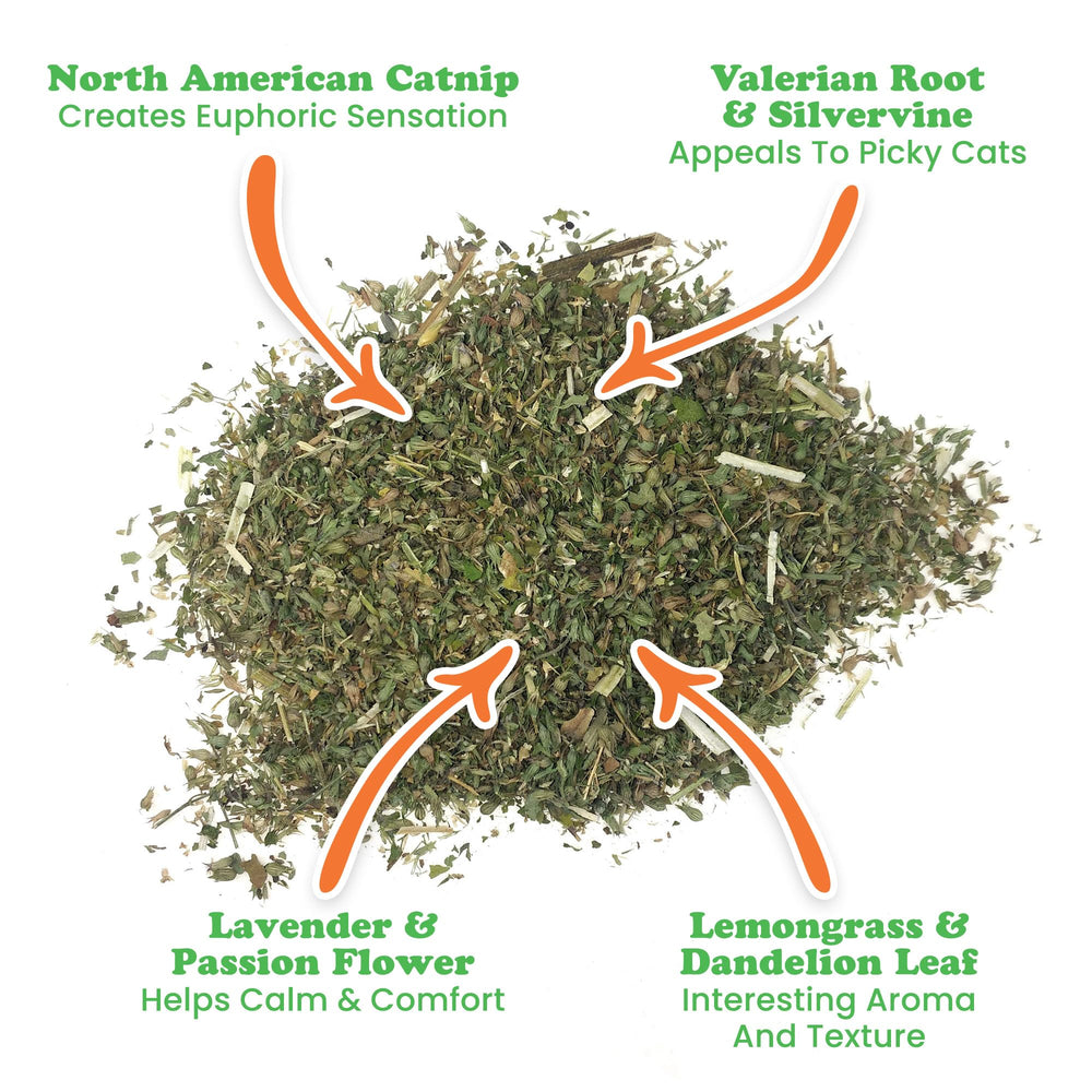 Meowijuana Pawty Mix herb closeup showcasing aroma-rich enrichment