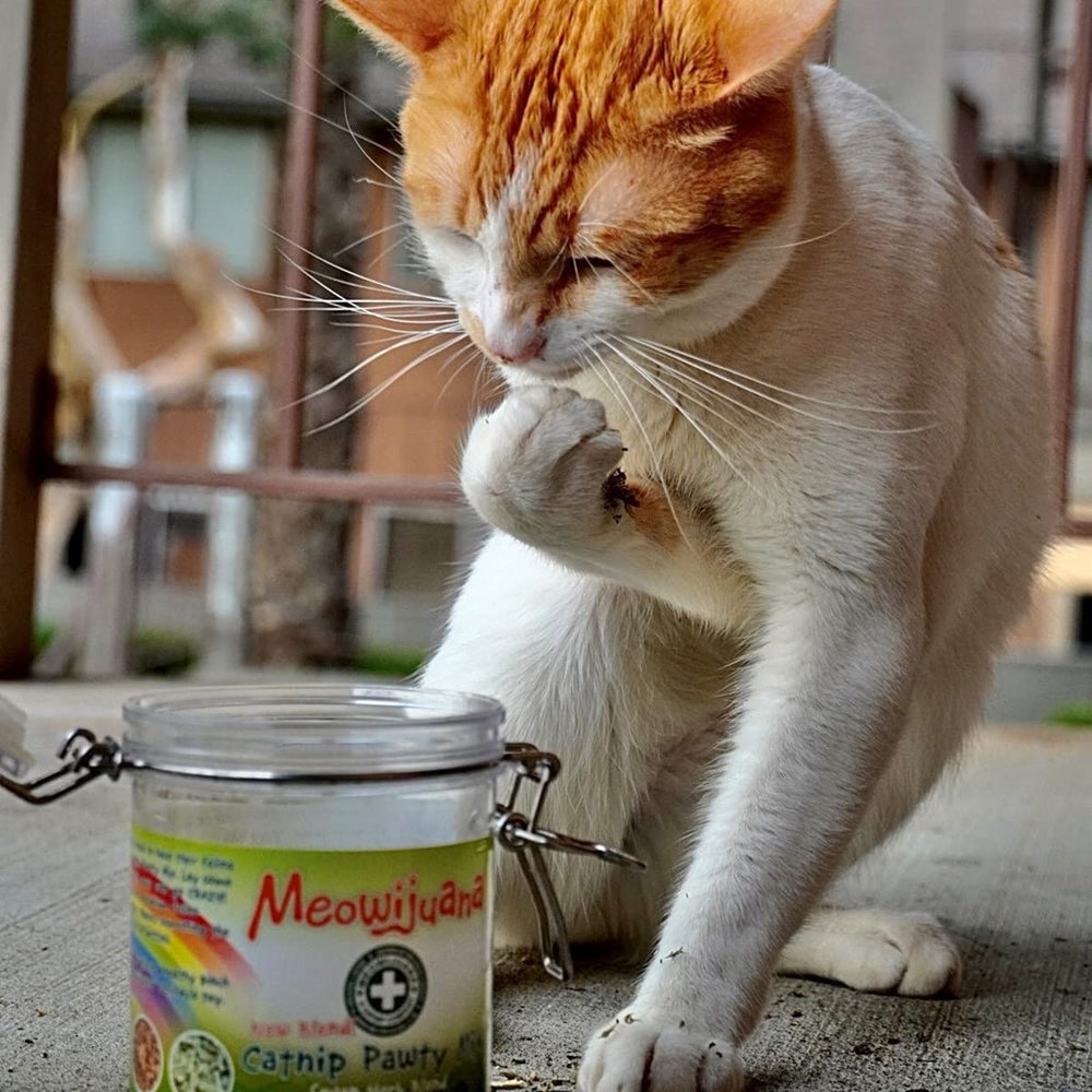 Meowijuana Catnibas blend label highlights North American catnip quality