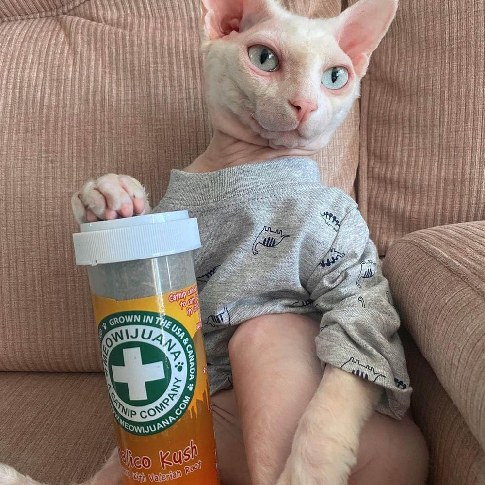 Meowijuana Catnip Bottle Opened Release invites fresh aroma exploration