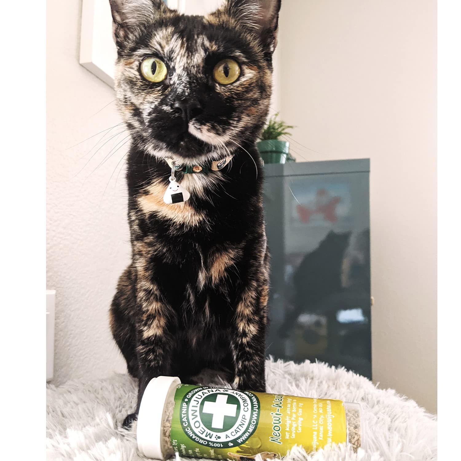 Meowijuana Catnip Bundle Gift Pack perfect for cat lovers