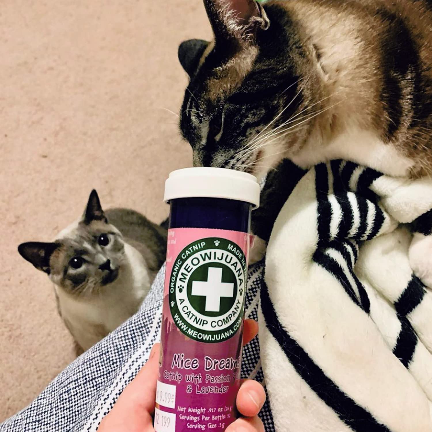 Meowijuana Catnip Treats and Toy Setup demonstrates interactive play