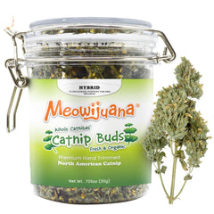 Meowijuana dried catnip buds jar closeup showing fresh aroma for playtime