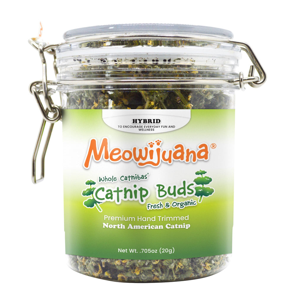 Meowijuana dried catnip buds jar ready for extended playtime