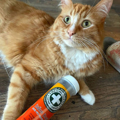 Meowijuana High-Potency Catnip Bottle Jar highlights quality and aroma