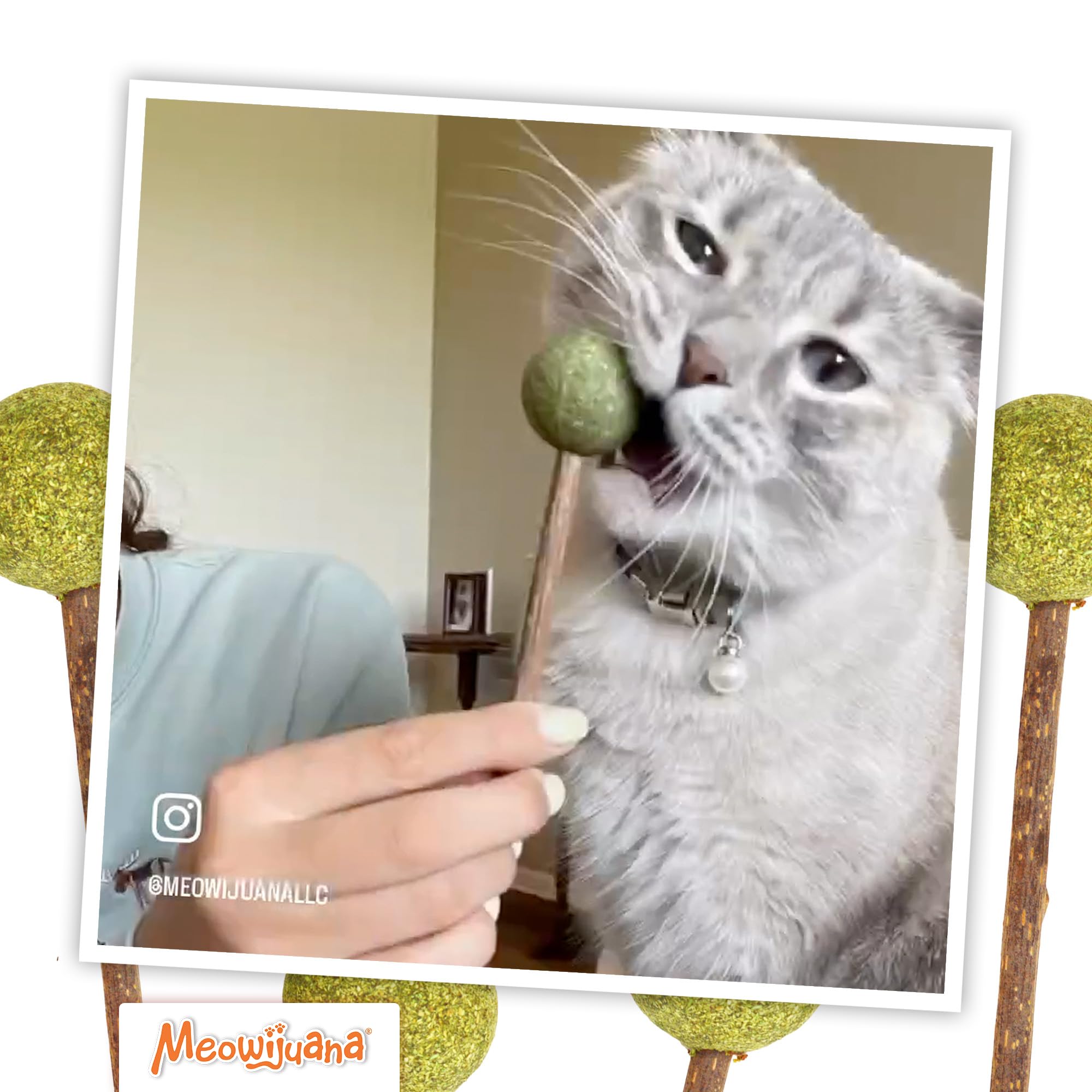 Meowijuana Lollies six play sessions per pack highlighted