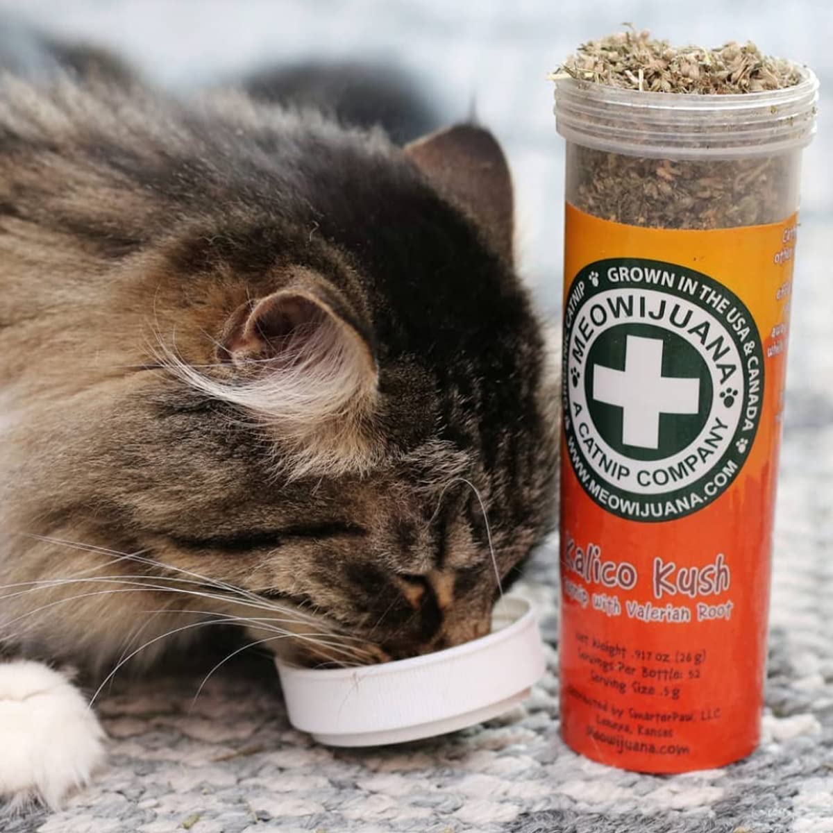 Meowijuana Mice Dreams Catnip Bottle closeup reveals dried leaves and texture