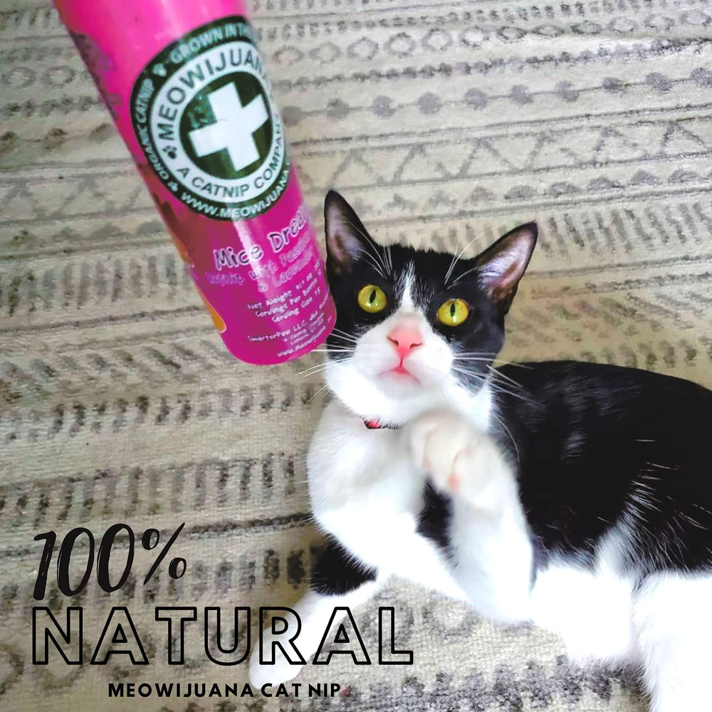 Meowijuana Organic Catnip Leaves arranged to highlight freshness for play
