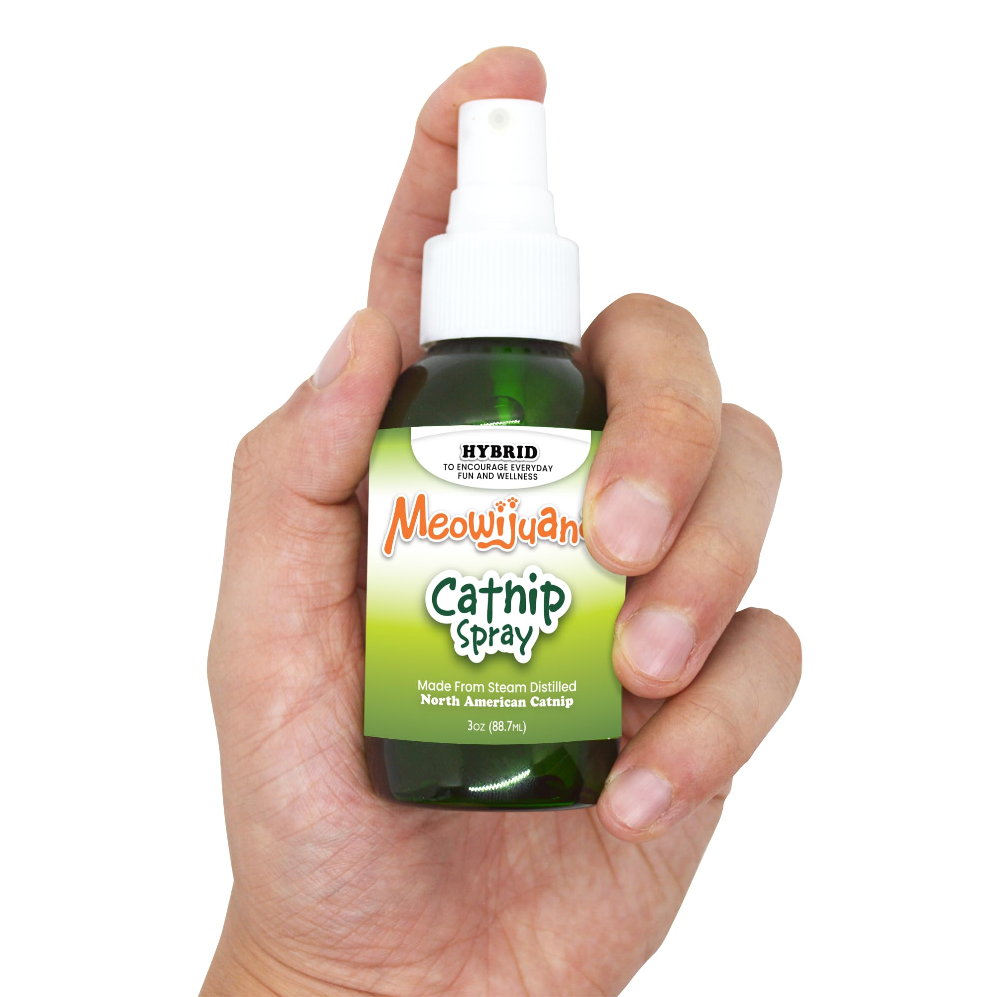 Meowijuana Premium Catnip Spray in a multi-cat room encourages shared play.