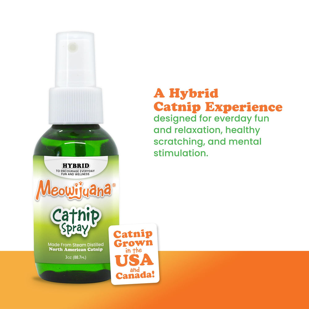 Meowijuana Premium Catnip Spray on a scratcher invites scratching and exploration.