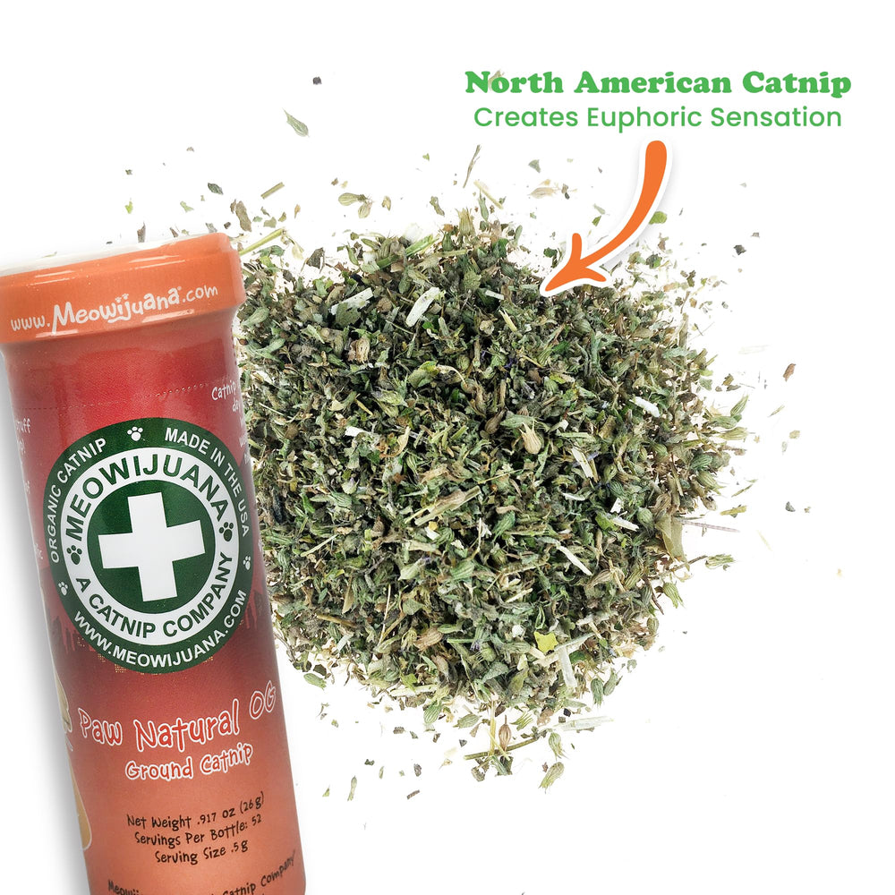 Meowijuana catnip bloom closeup highlights rich aroma and feather-soft texture.