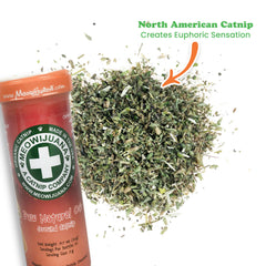 Meowijuana catnip bloom closeup highlights rich aroma and feather-soft texture.
