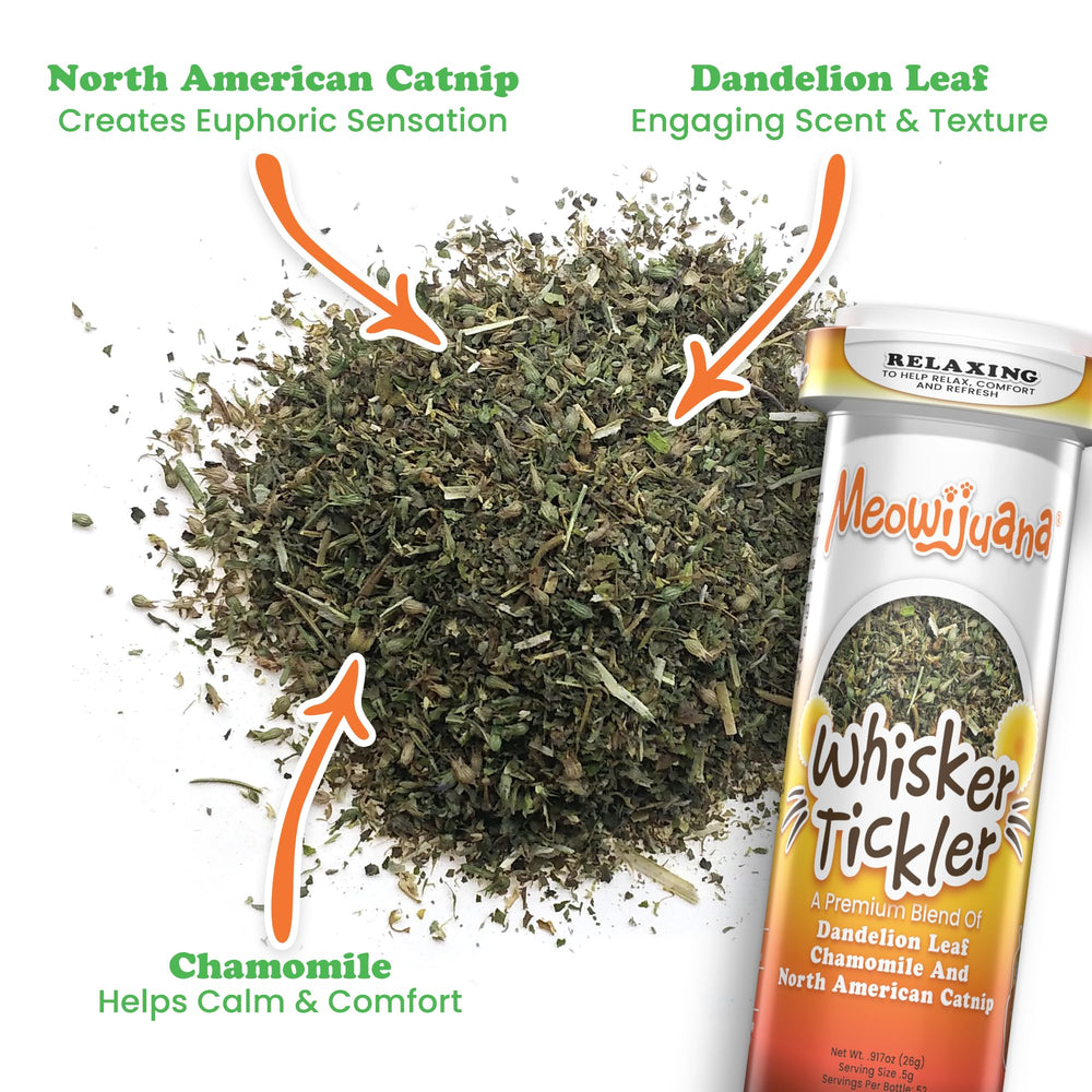 Meowijuana Organic North American catnip quality visible in premium blend.