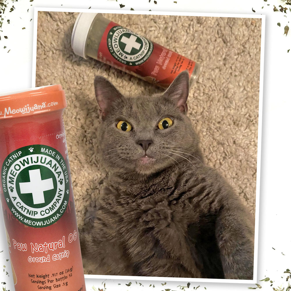 Meowijuana Soft-texture catnip closeup with a feather-soft feel.
