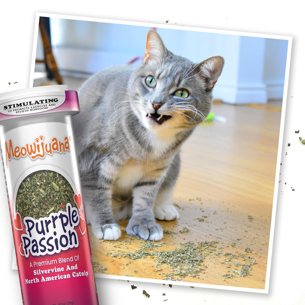 Meowijuana Sprinkle-on-scratchers usage demonstrates easy application.