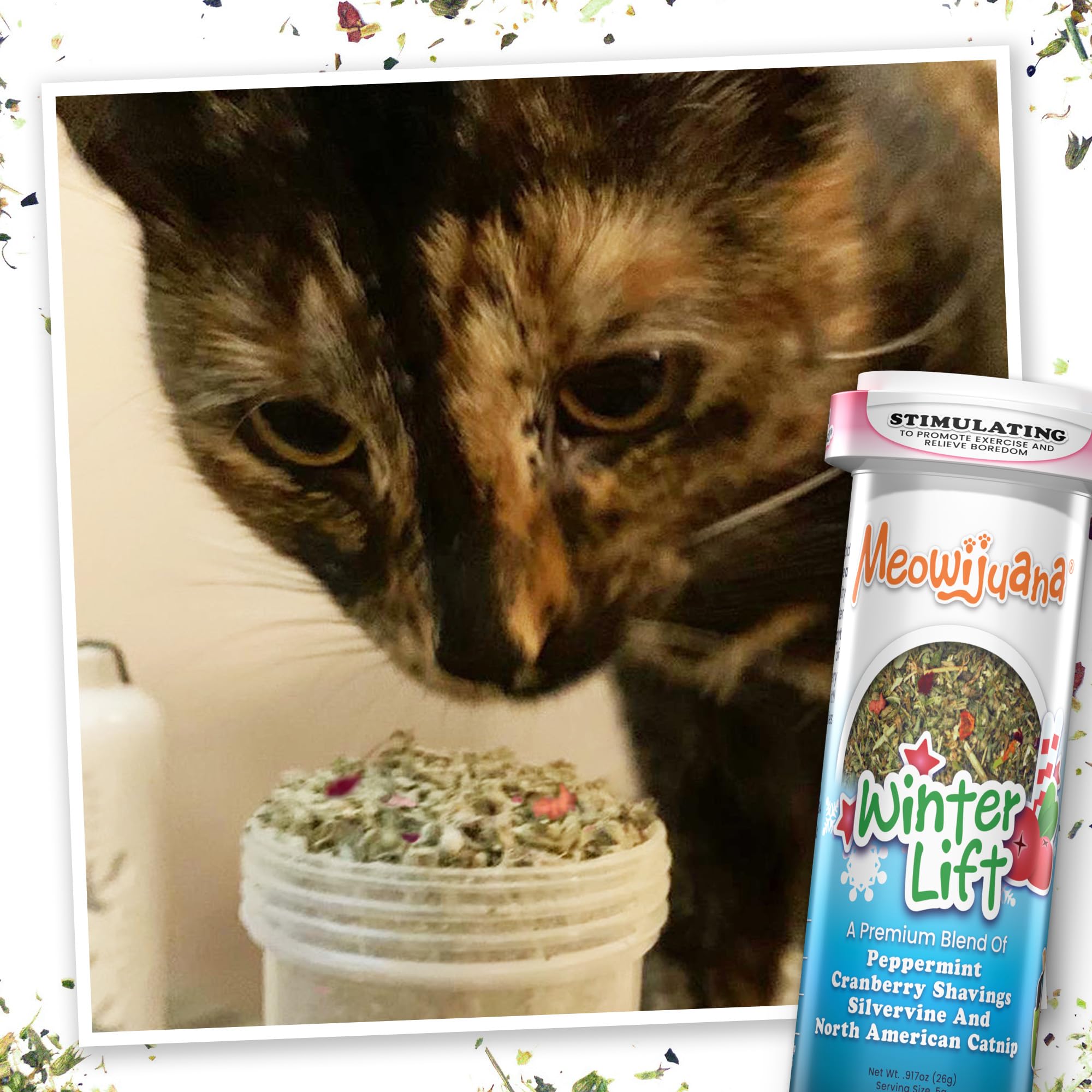 Meowijuana Refill Tube Catnip On Hand highlights convenient scent refresh moments.