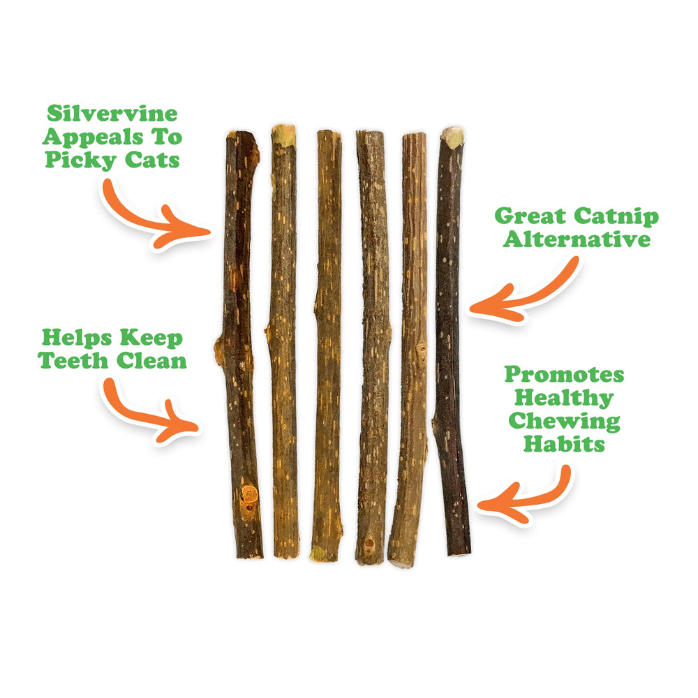 Meowijuana Silvervine Sticks 4-inch stick ready for chewing and dental support.