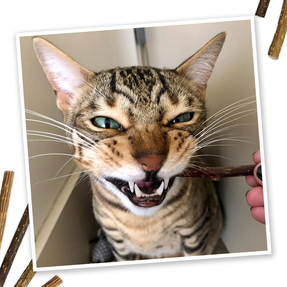 Meowijuana Silvervine Sticks natural ingredients, no fillers, for safe enrichment.
