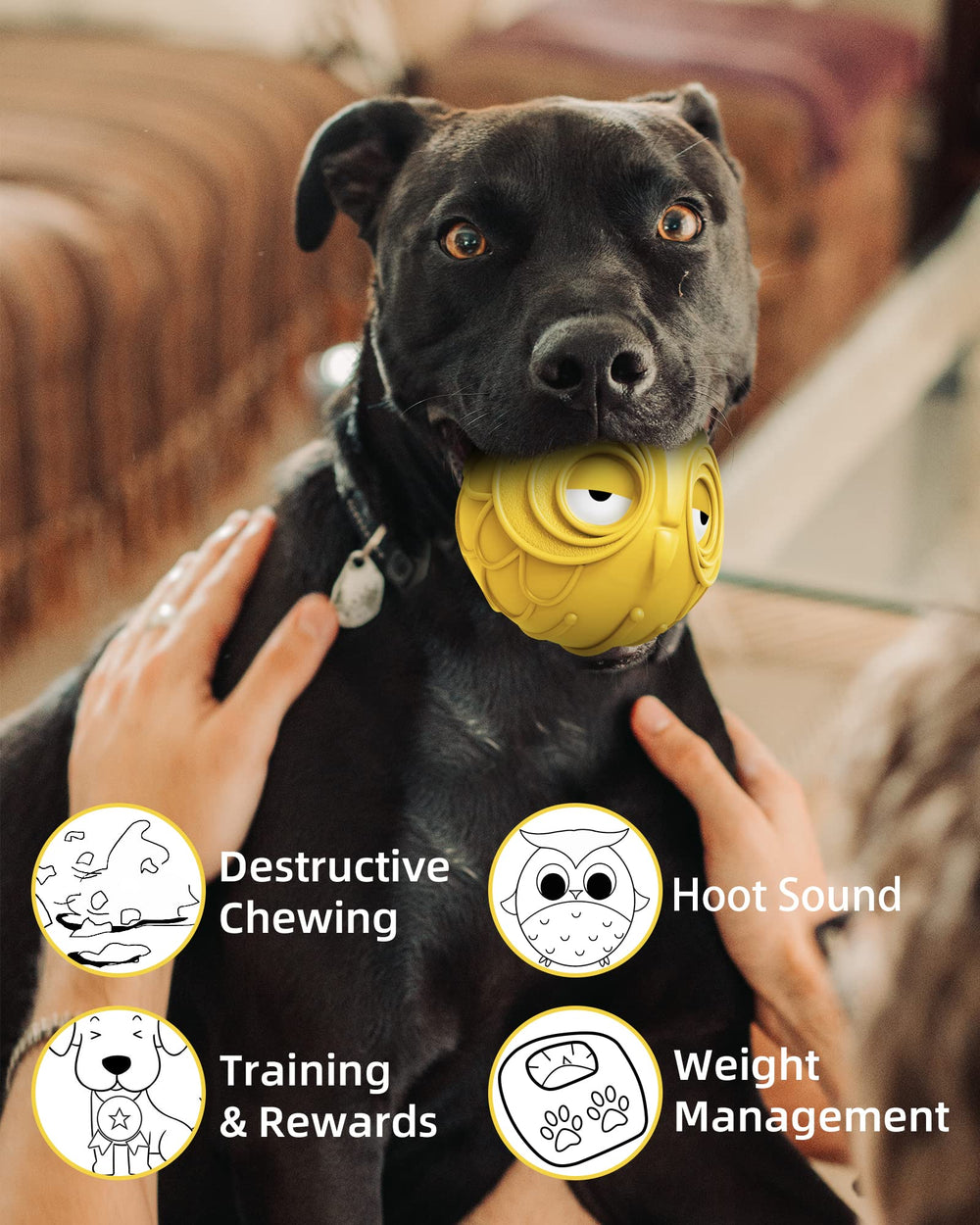 Mewlmart Giggle Ball Owl yellow packaging view signals a ready-to-please gift.