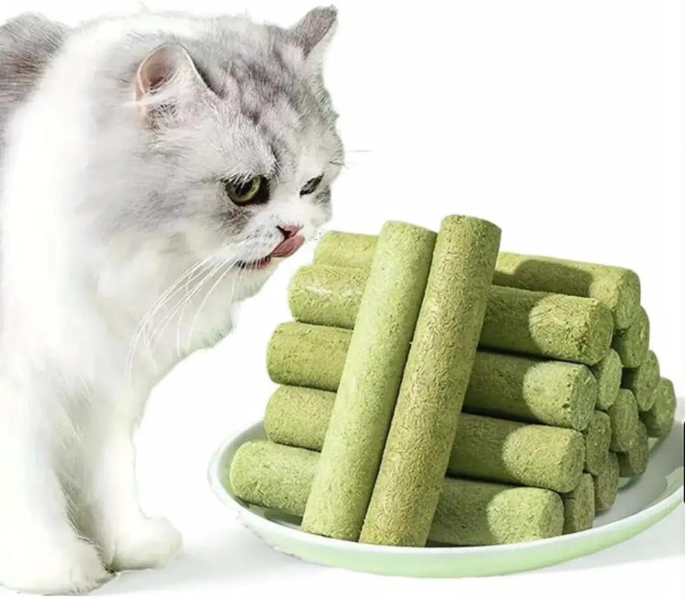 Meowly cat grass sticks Chicken-egg flavor entices picky cats for greens.