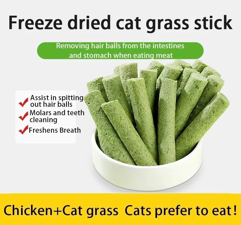 Meowly cat grass sticks Dental-usage demonstrates natural chewing for dental care.