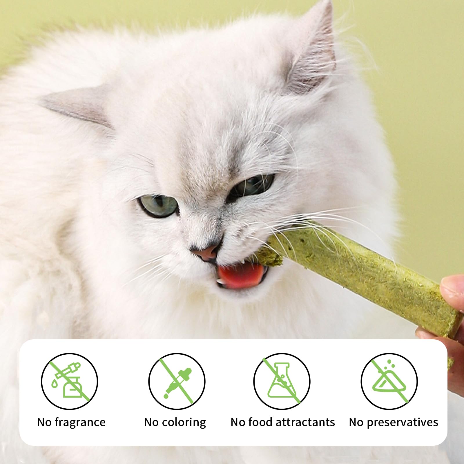 Meowly cat grass sticks Ready-to-serve arrangement emphasizes convenience and fresh greens.