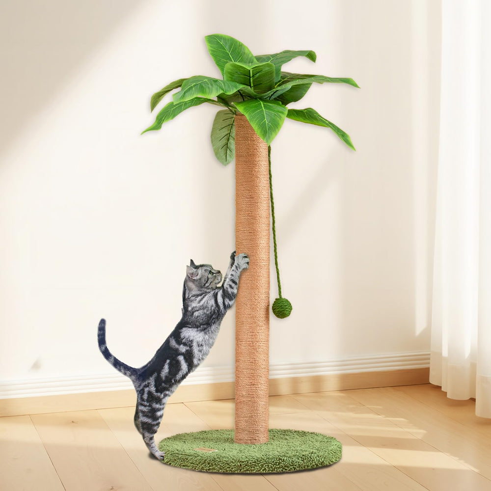 Meowoou cozy perches offer a comfortable lounging spot after play