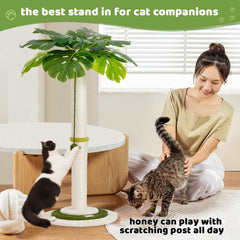 Meowoou cat tree shows hanging ball for interactive play and engagement.