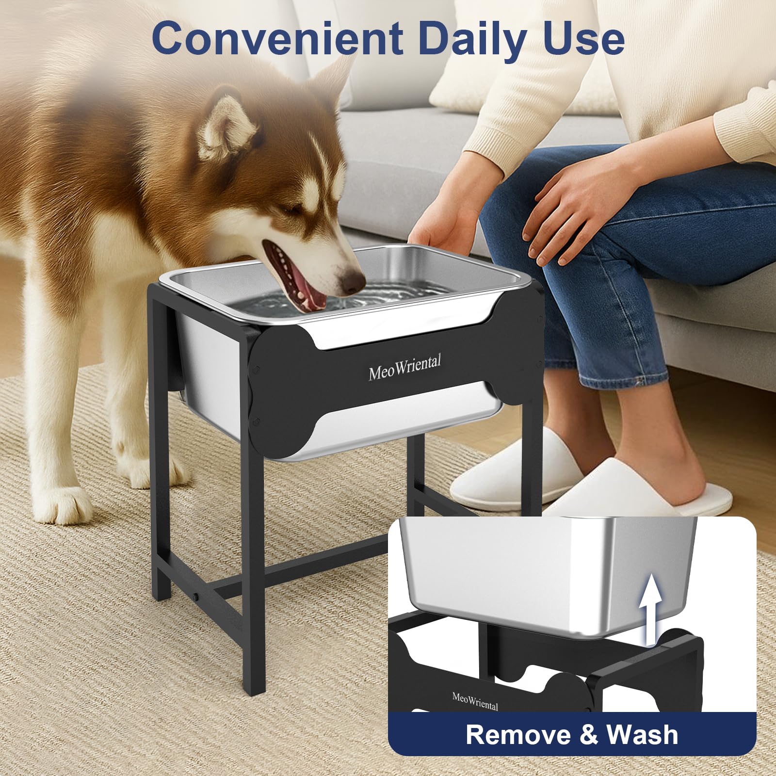 MeoWriental multi-dog homes benefit from reliable water station