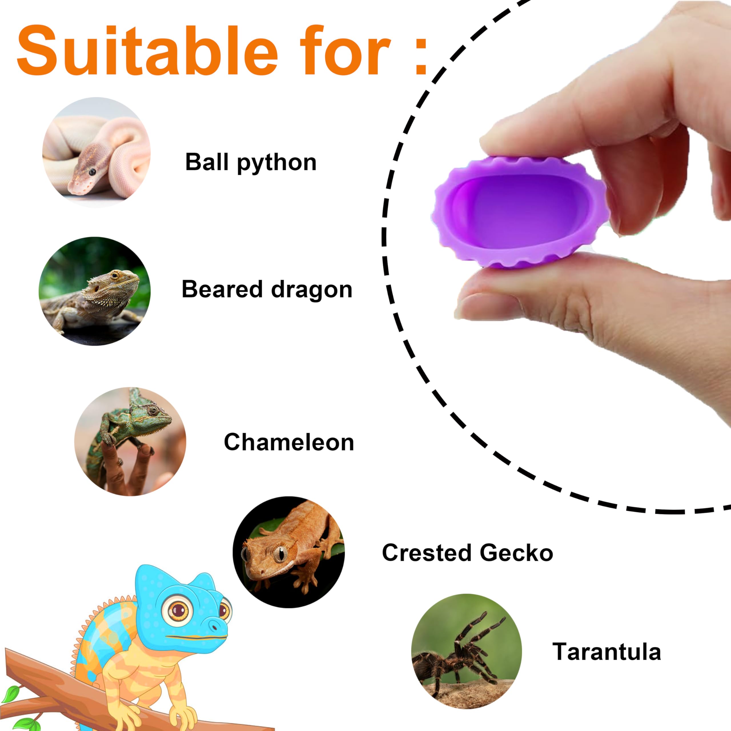 Meowwoof crested gecko feeding cups durable silicone dish built to last daily use