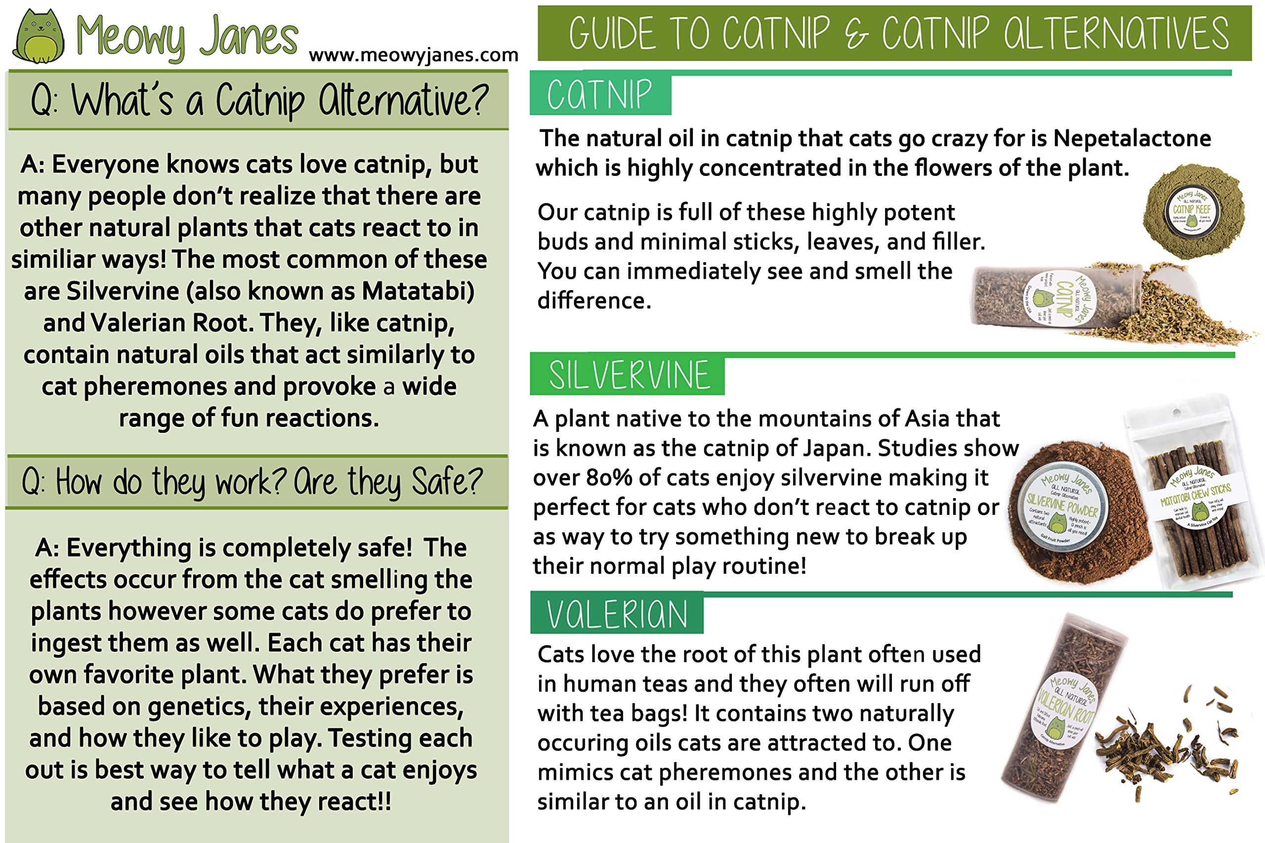 Meowy Janes silvervine origin from Asia highlights natural enrichment