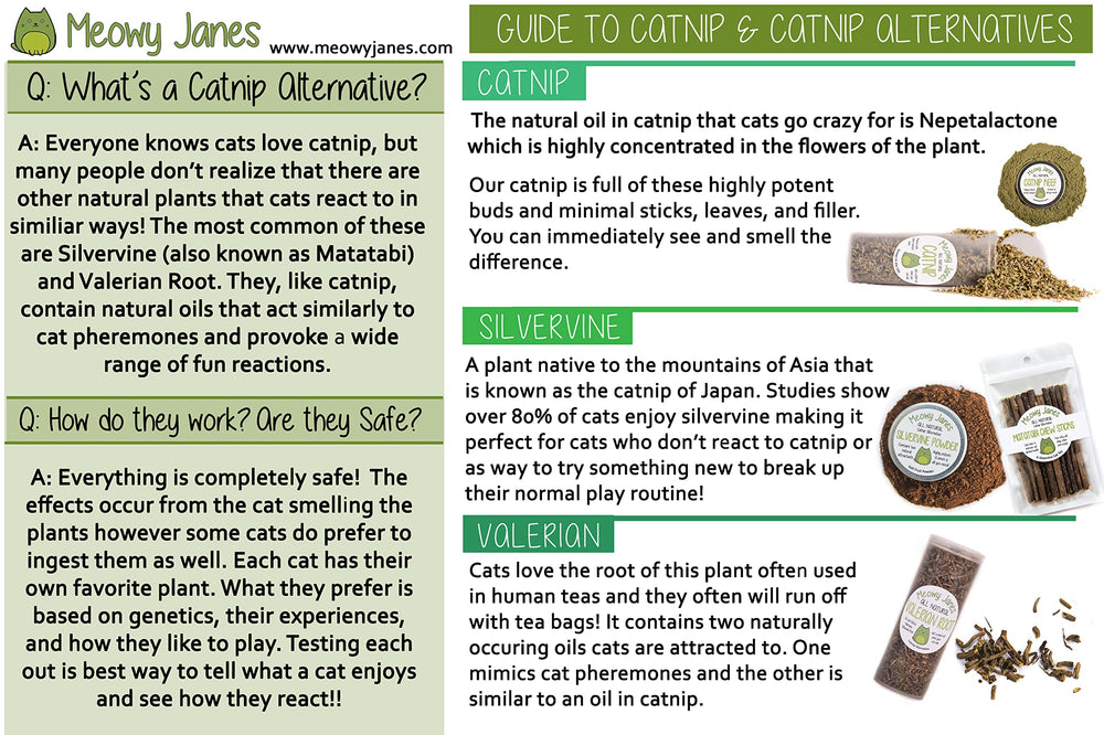 Meowy Janes silvervine origin from Asia highlights natural enrichment