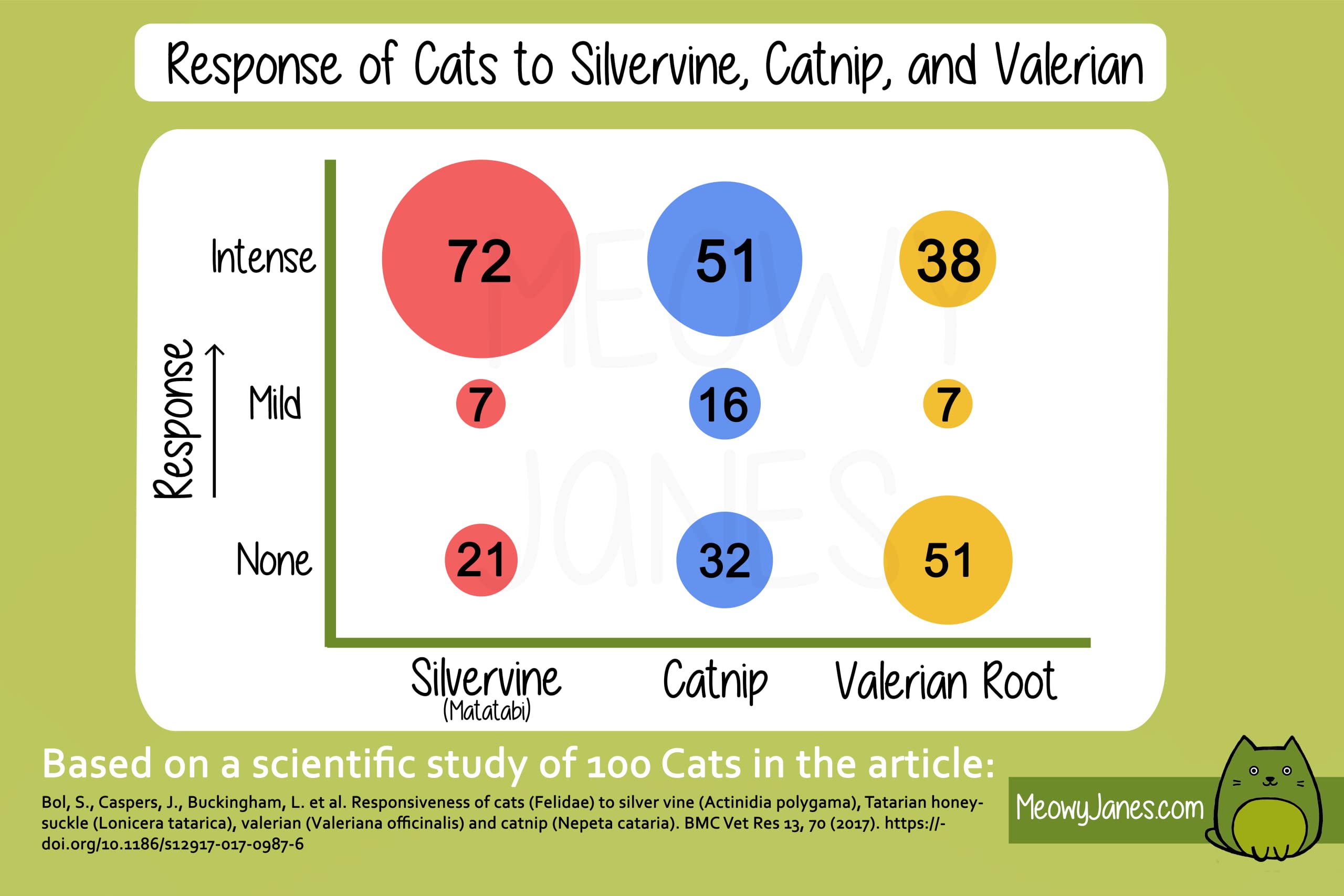 Meowy Janes silvervine on scratcher invites interactive enrichment