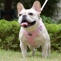 Mercano-air-mesh-breathable-pink-xs lightweight comfort helps your dog stay cool.