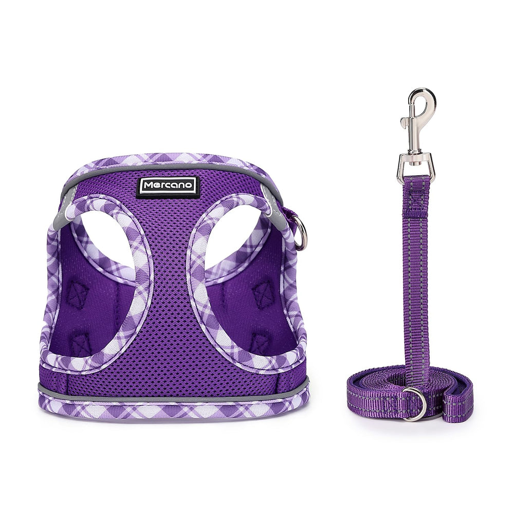 Mercano step-in harness with reflective stripes enhances nighttime visibility