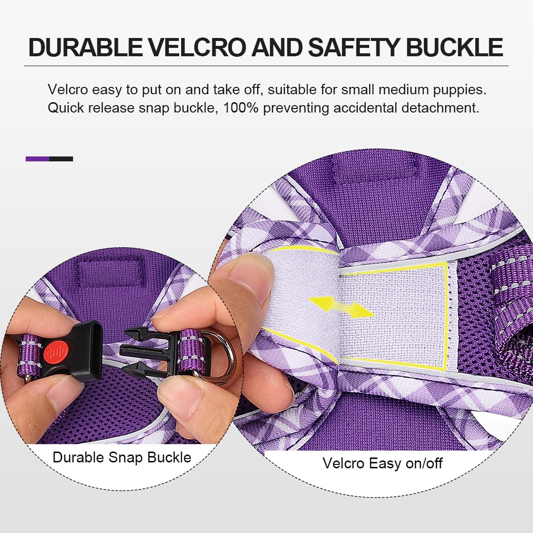 Mercano harness shows a side D-ring for ID tag or LED light