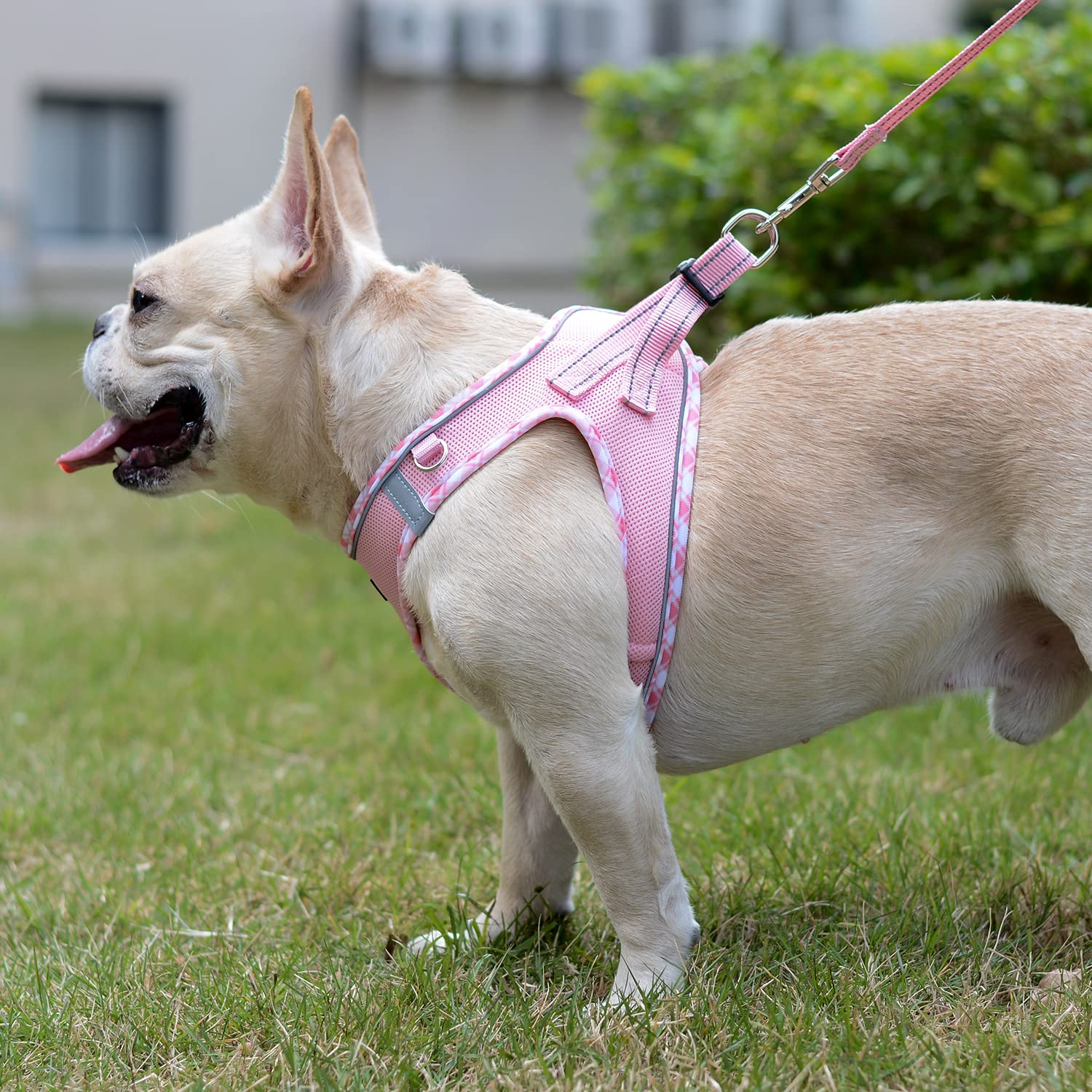 Mercano soft mesh harness pink leash-attach view shows convenient accessory attachment