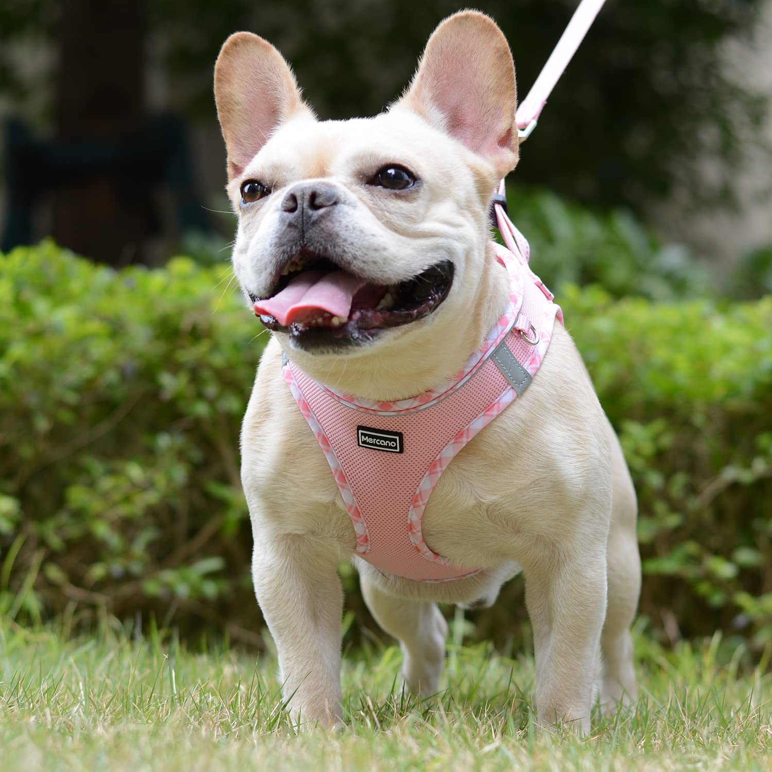 Mercano soft mesh harness pink reflective stripes provide high visibility at night