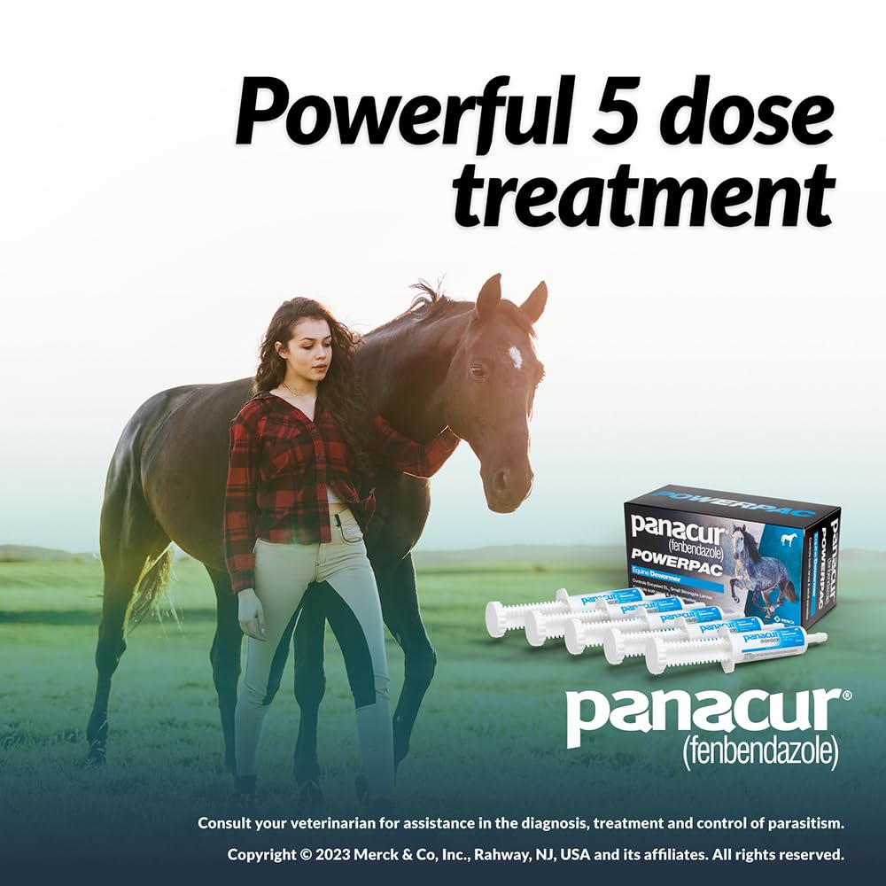 Calm horse during Panacur Powerpac treatment indicating minimal stress