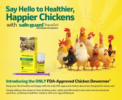 Merck Safe-Guard Aquasol chickens drinking-water setup offers no egg withdrawal period.