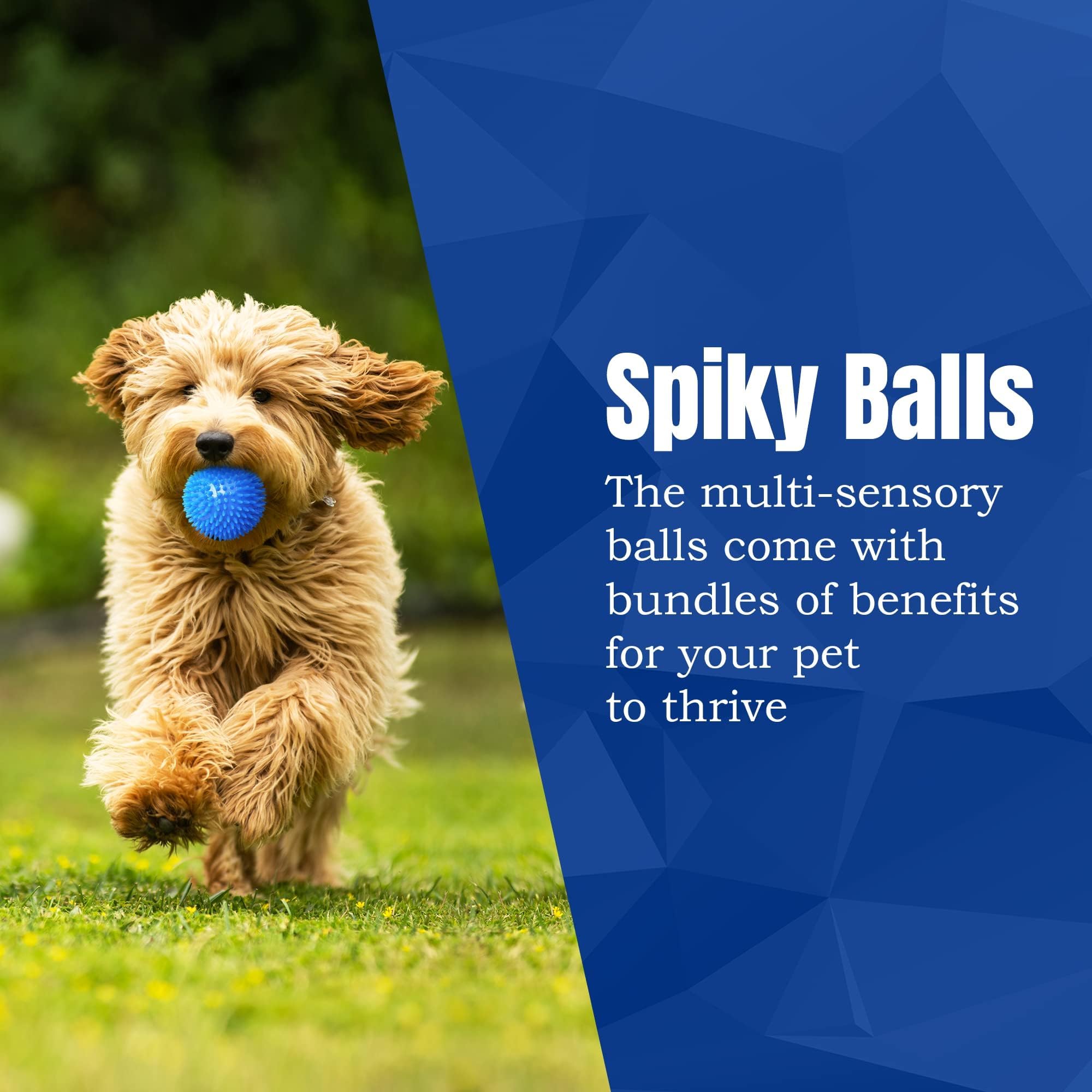 Meric CoCoo orange ball in action demonstrates tossing and fetch with pets.